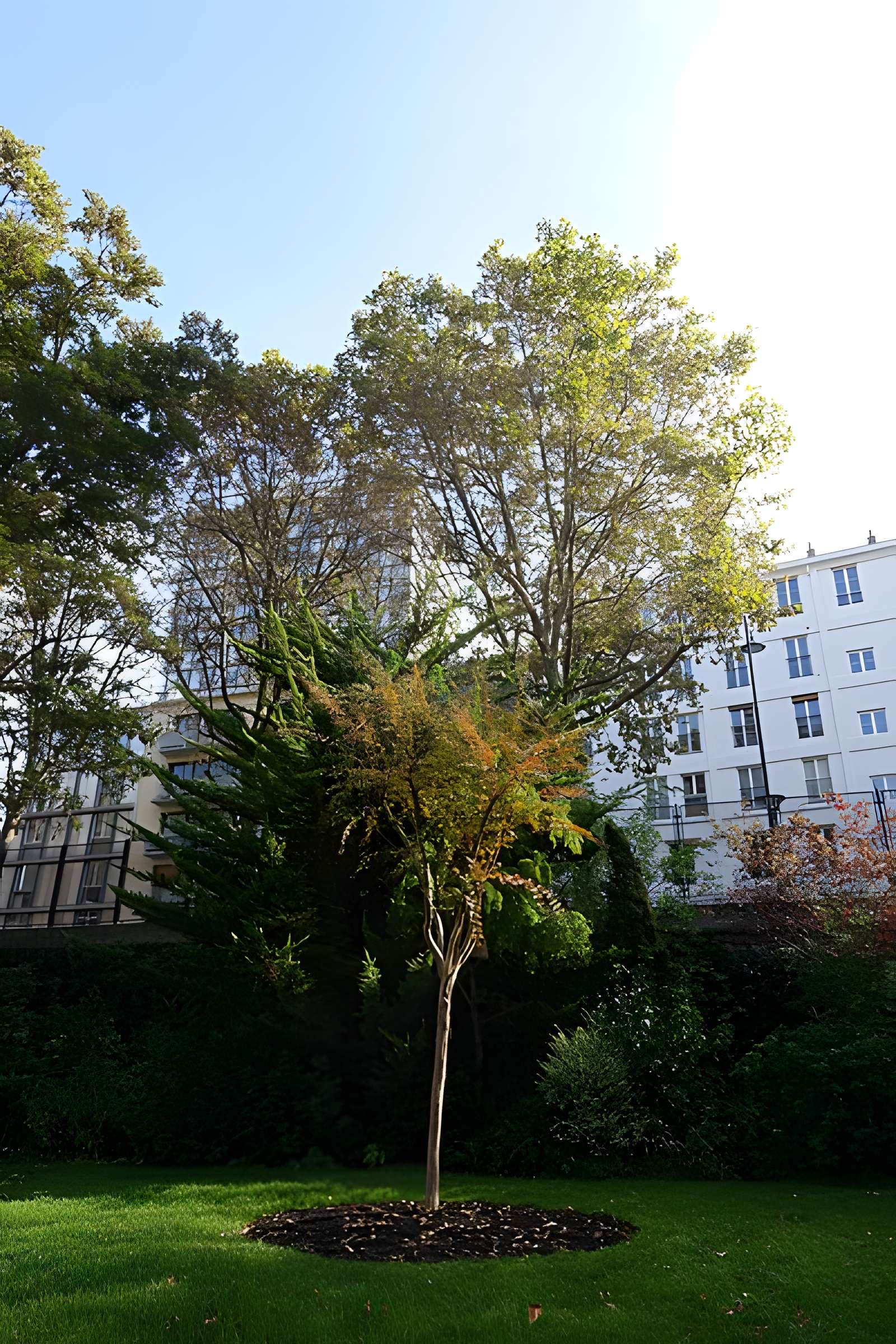 Square René-Le Gall - Paris 13ème