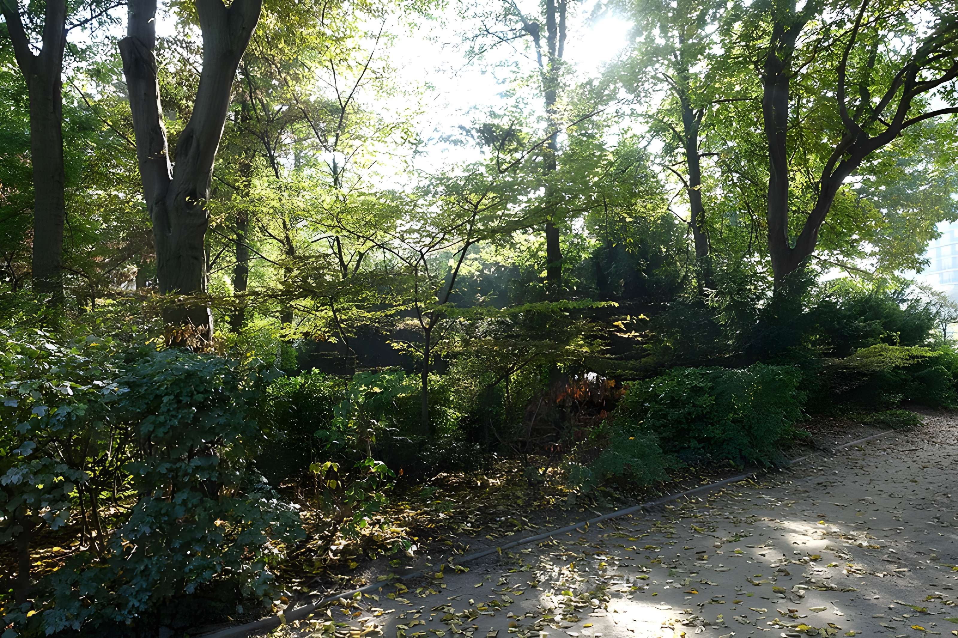 Square René-Le Gall - Paris 13ème