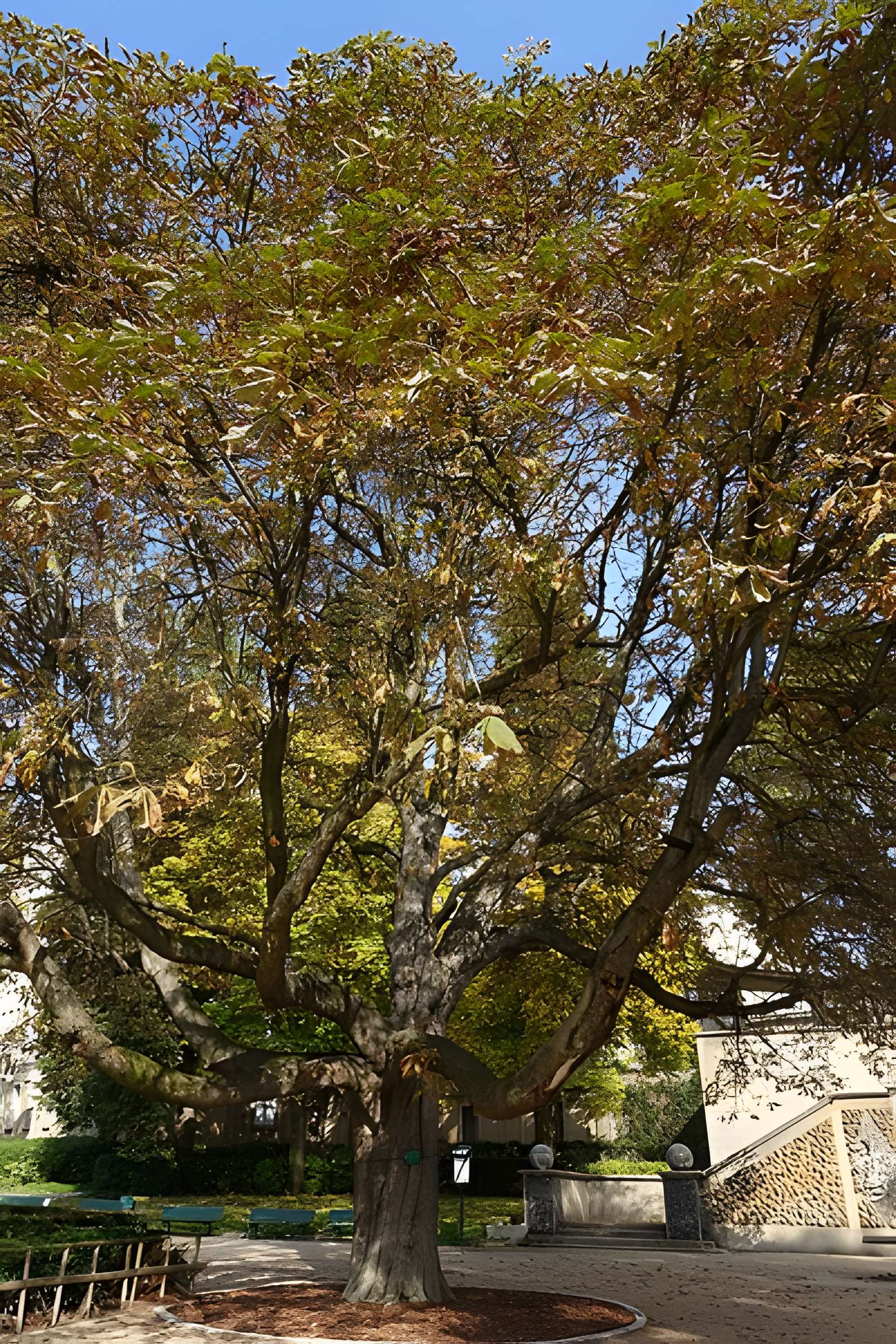 Square René-Le Gall - Paris 13ème