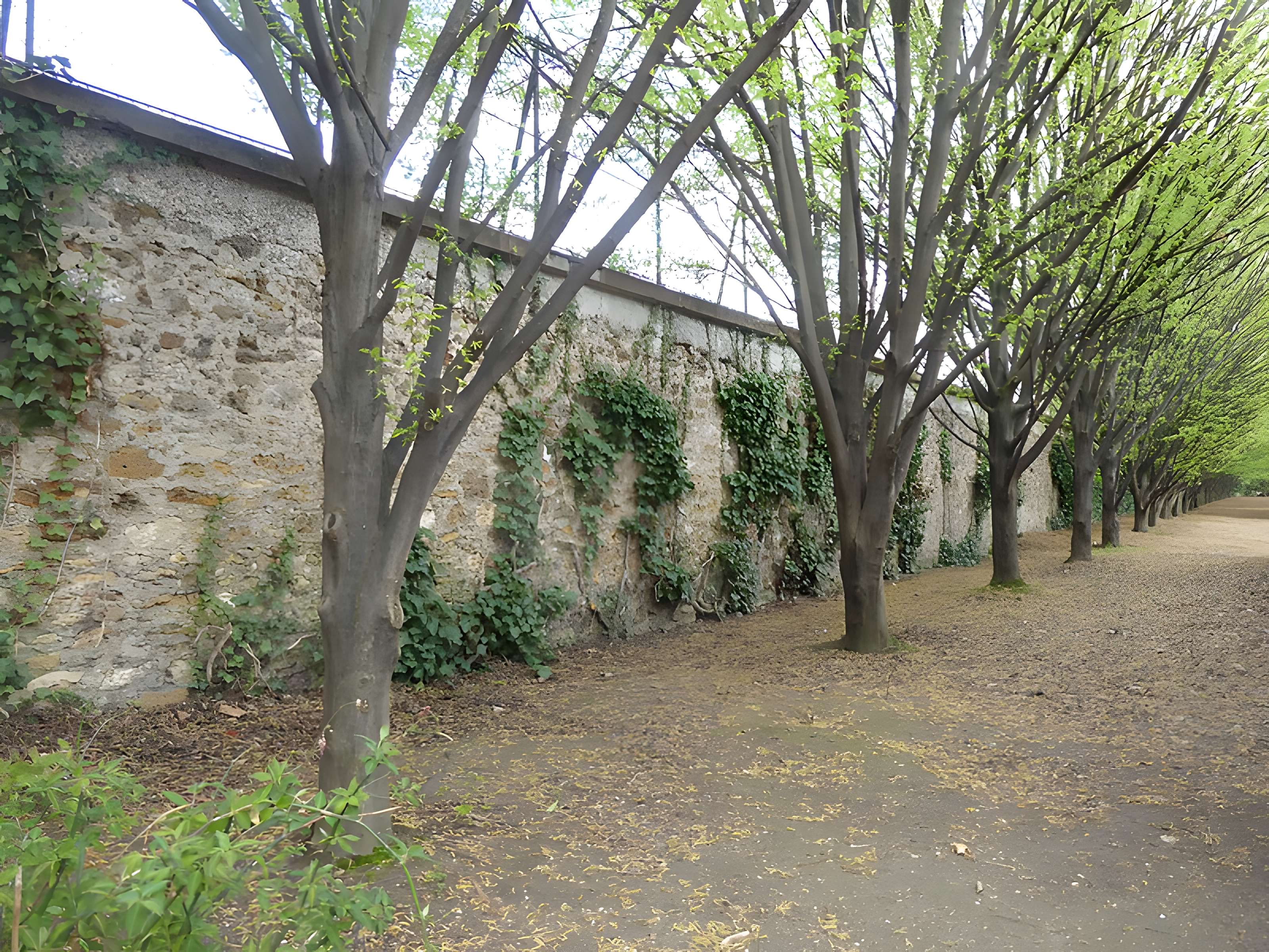 Square René-Le Gall - Paris 13ème