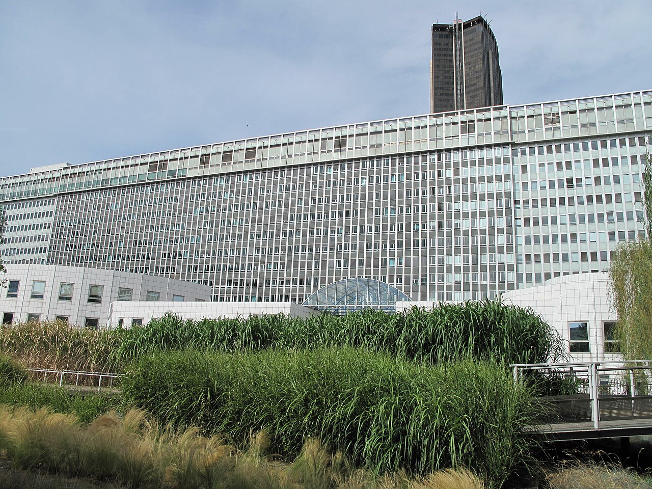 Jardin Atlantique - Paris 15ème