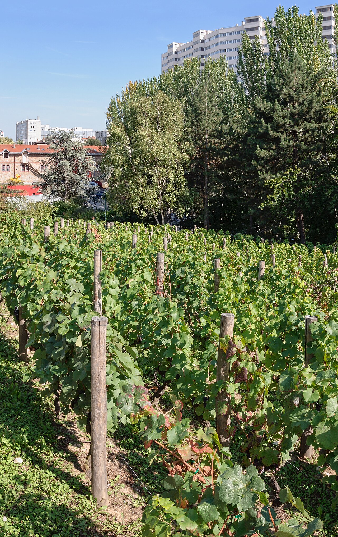 Parc Georges-Brassens - Paris 15ème