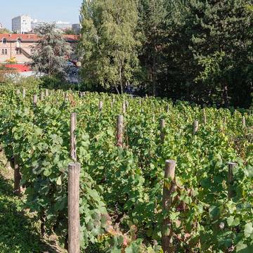 Parc Georges-Brassens - Paris 15ème