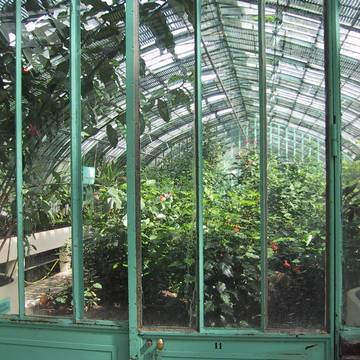Jardin des serres dAuteuil - Paris 16ème