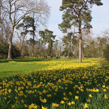 Parc de Bagatelle - Paris 16ème