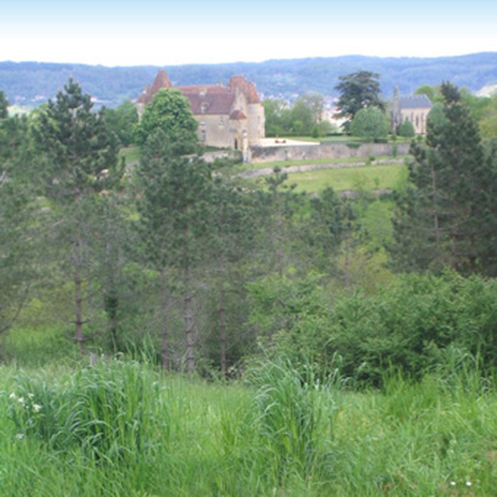 Photo de Château de Monsec