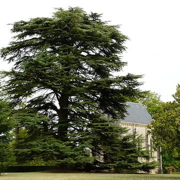Château de Monsec