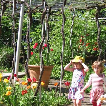 Parc de la Villette - Paris 19ème