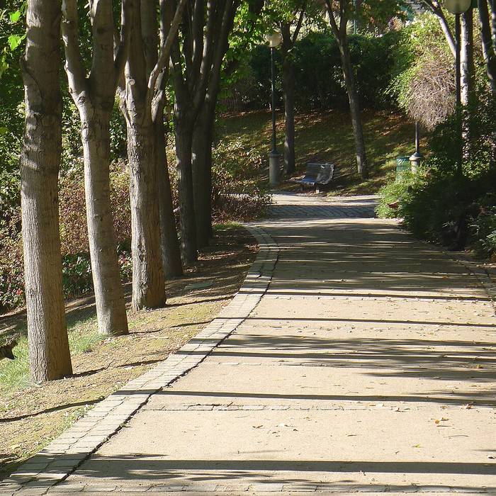 Photo de Parc de Belleville - Paris 20ème