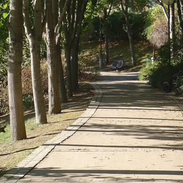 Parc de Belleville - Paris 20ème