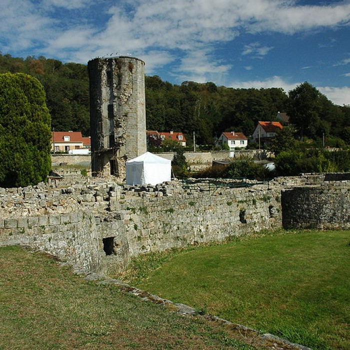 Photo de Château de Montagu