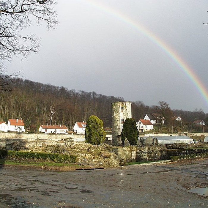Photo de Château de Montagu