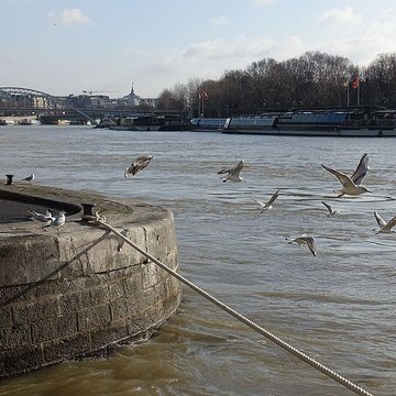 Passerelle Debilly - Paris 7ème