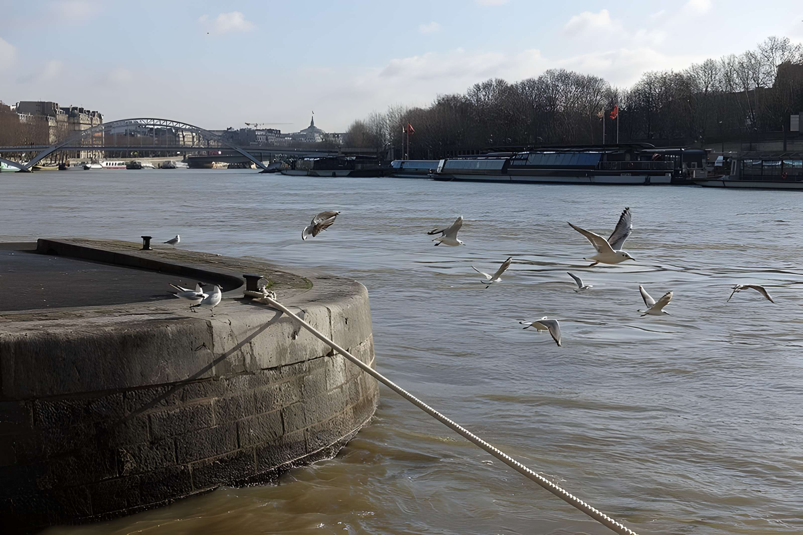 Passerelle Debilly - Paris 7ème