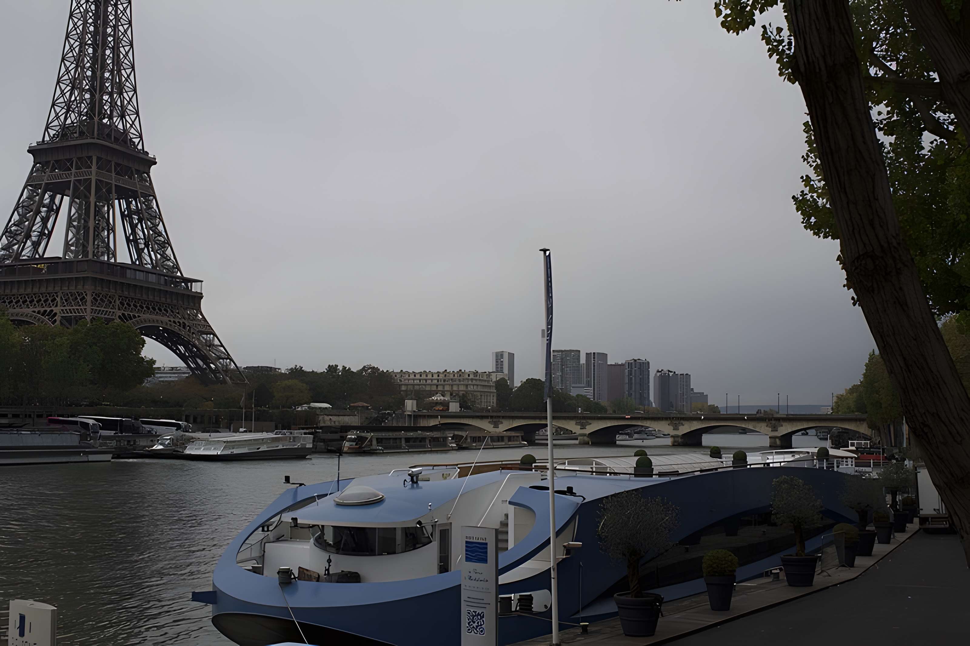 Pont d'Iéna à Paris