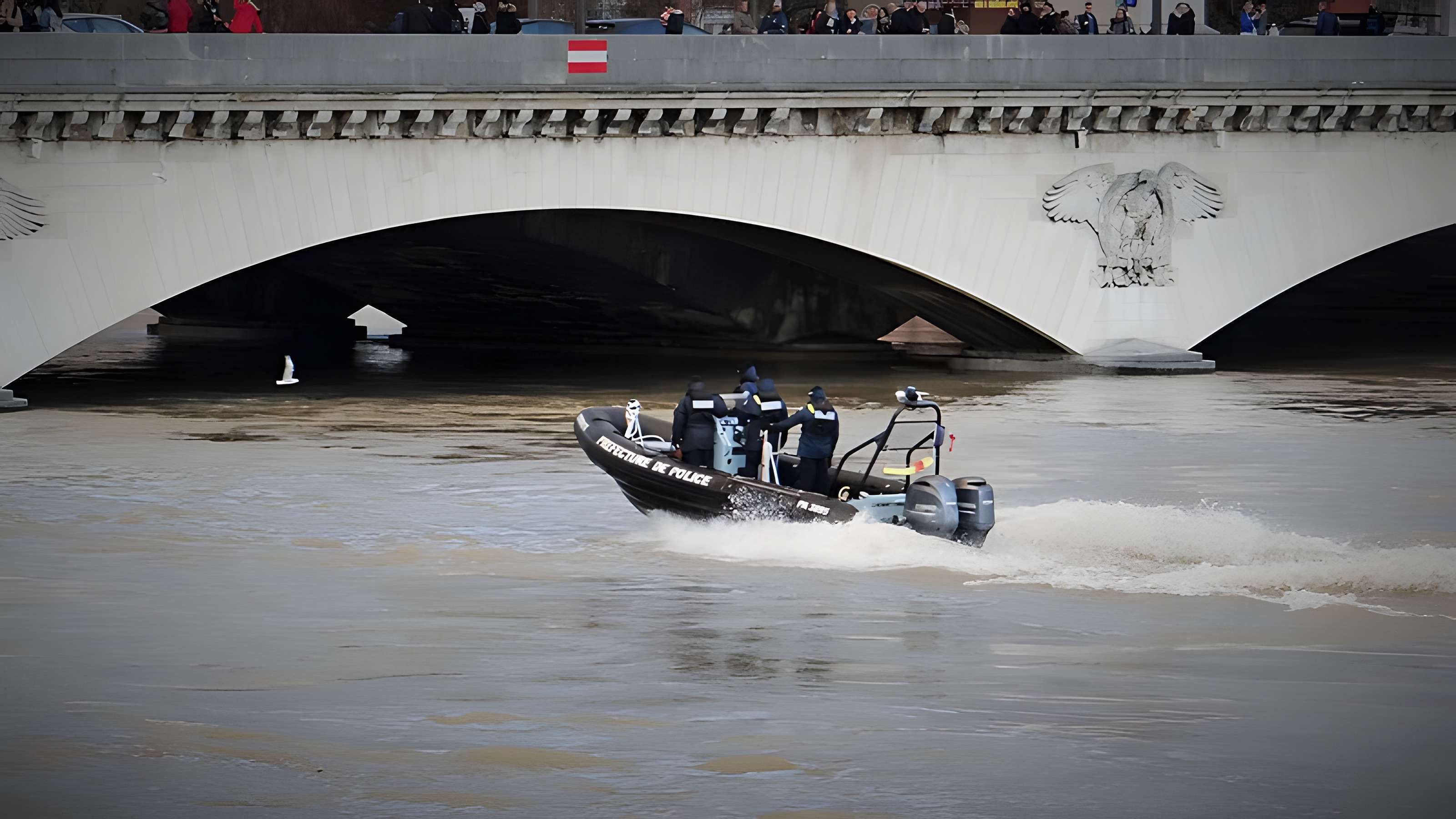Pont d'Iéna à Paris
