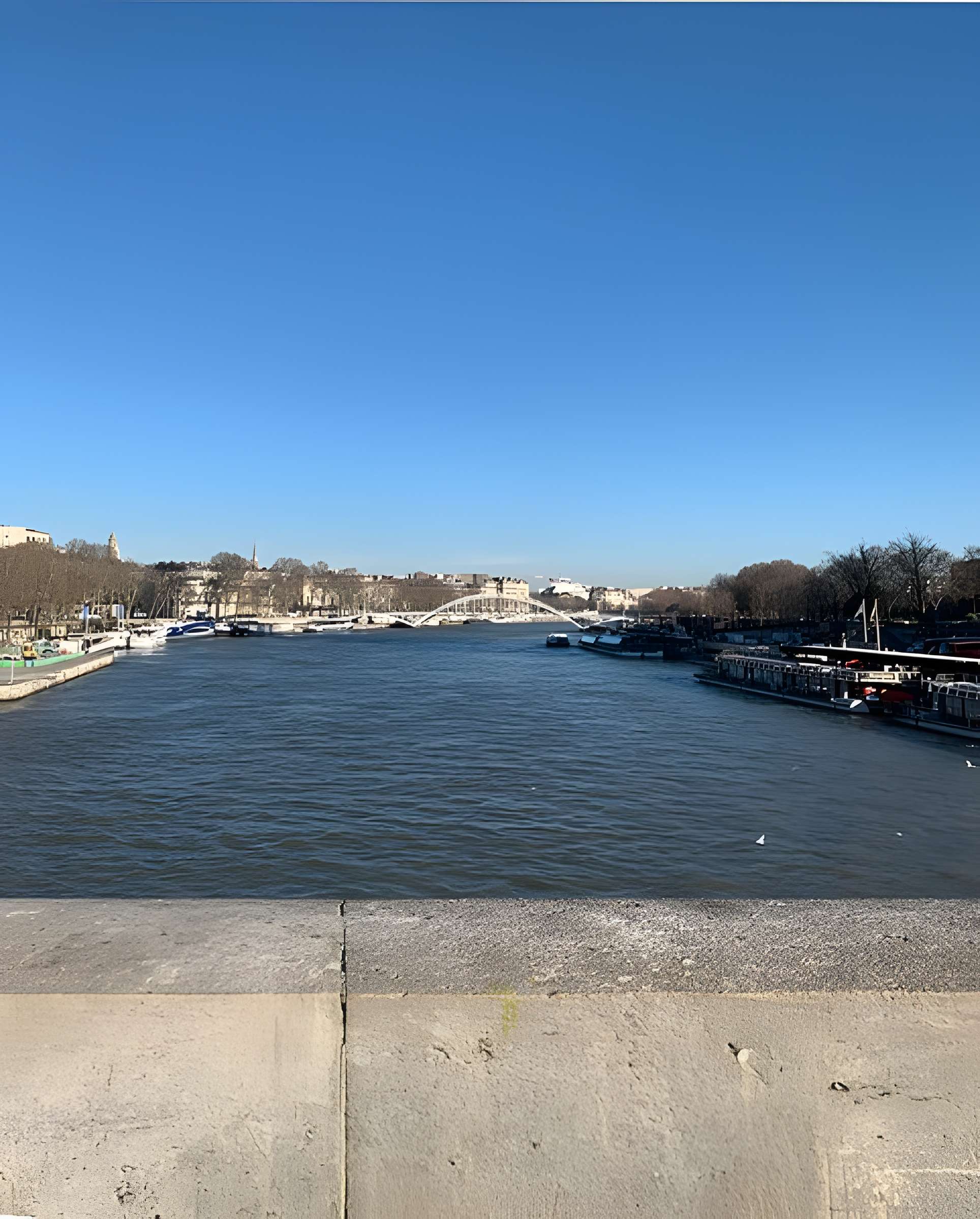 Pont d'Iéna à Paris