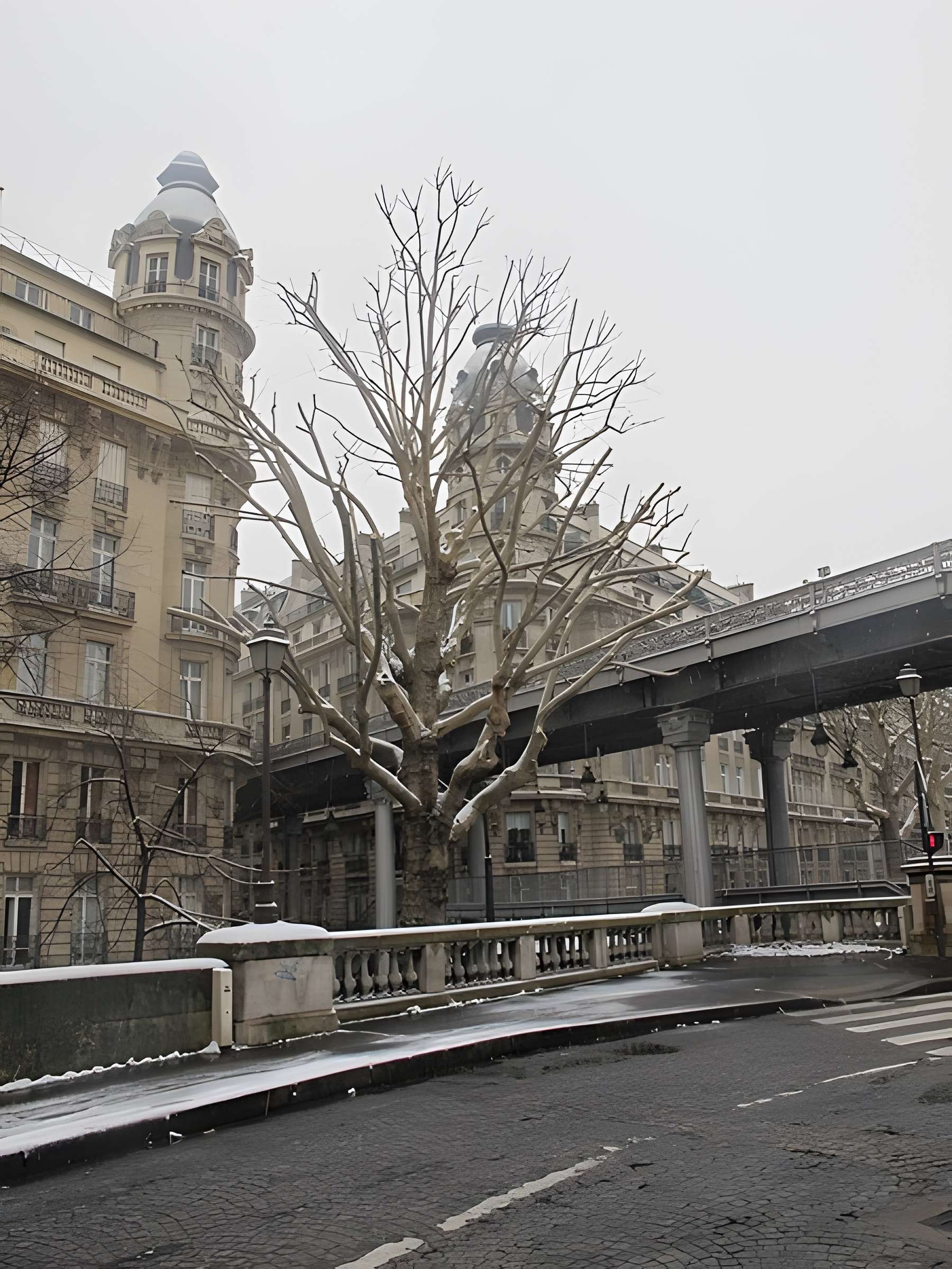 Pont de Bir-Hakeim à Paris