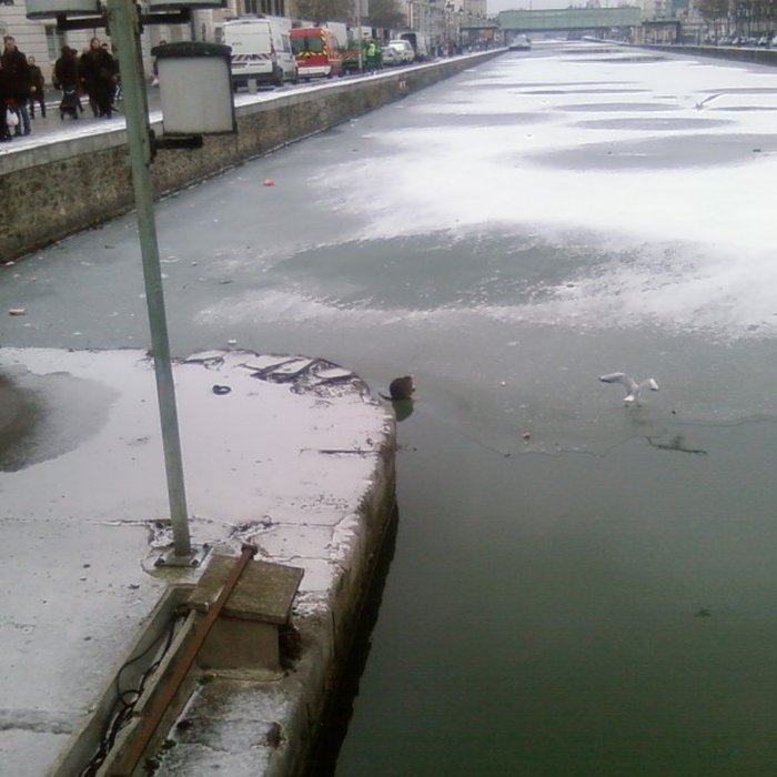Photo de Pont levant de la rue de Crimée à Paris