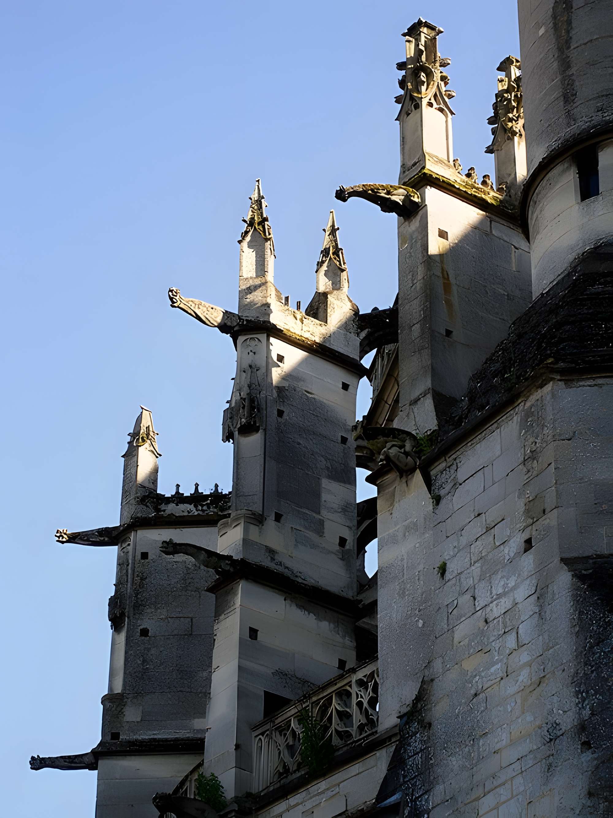 Cathédrale Notre-Dame de Senlis