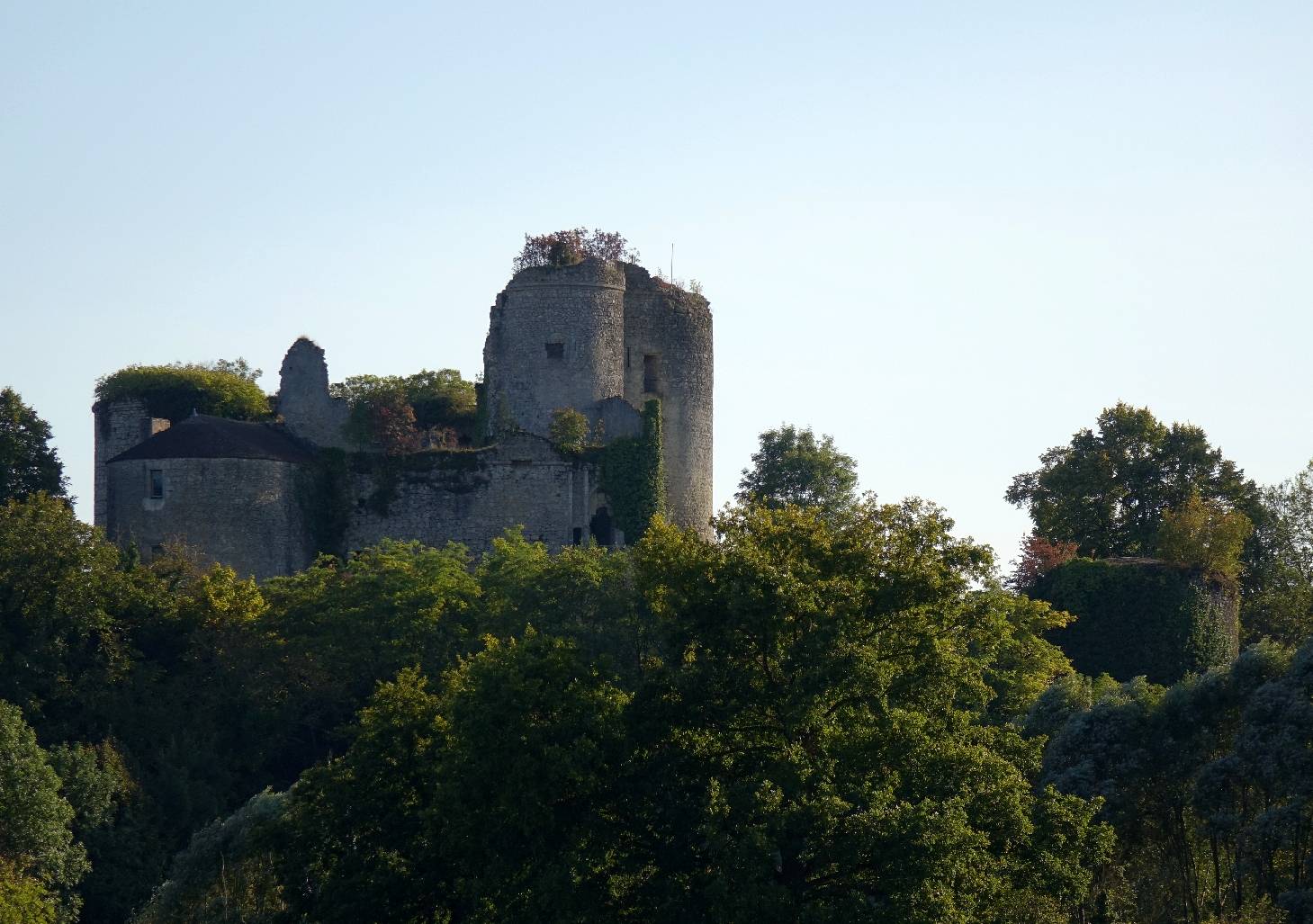 Château de Montaigu-le-Blin