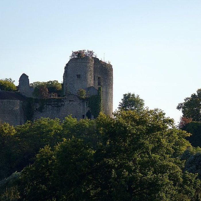 Photo de Château de Montaigu-le-Blin