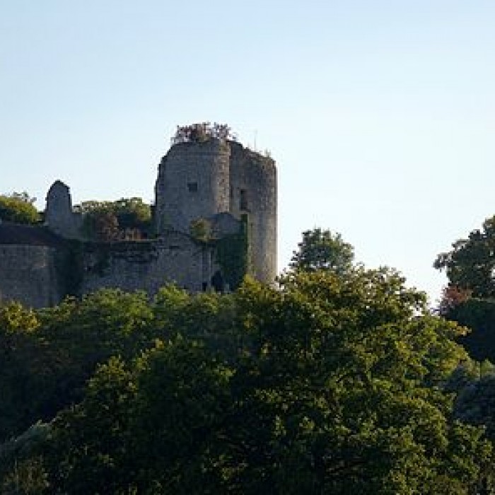 Photo de Château de Montaigu-le-Blin