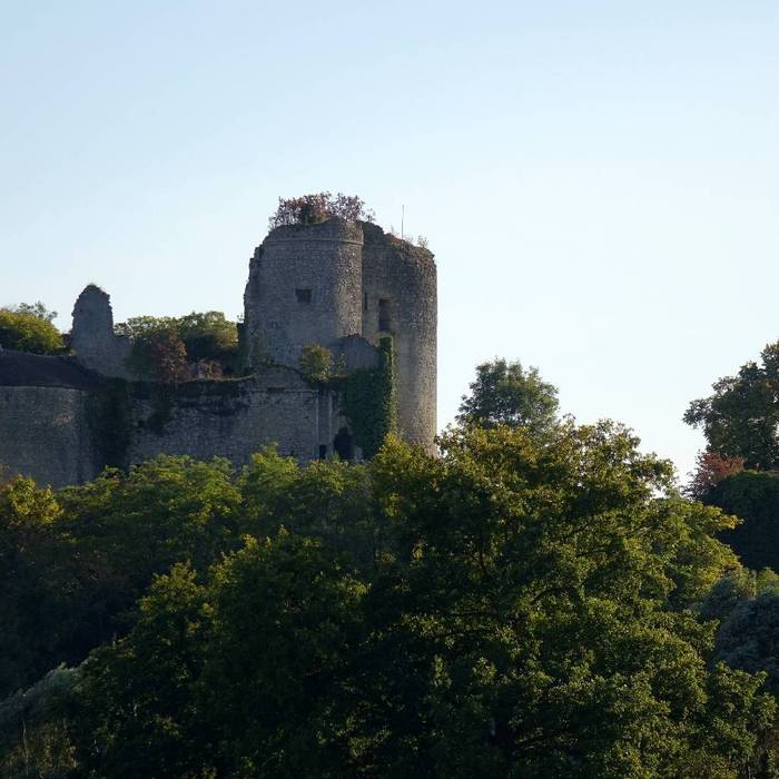 Photo de Château de Montaigu-le-Blin