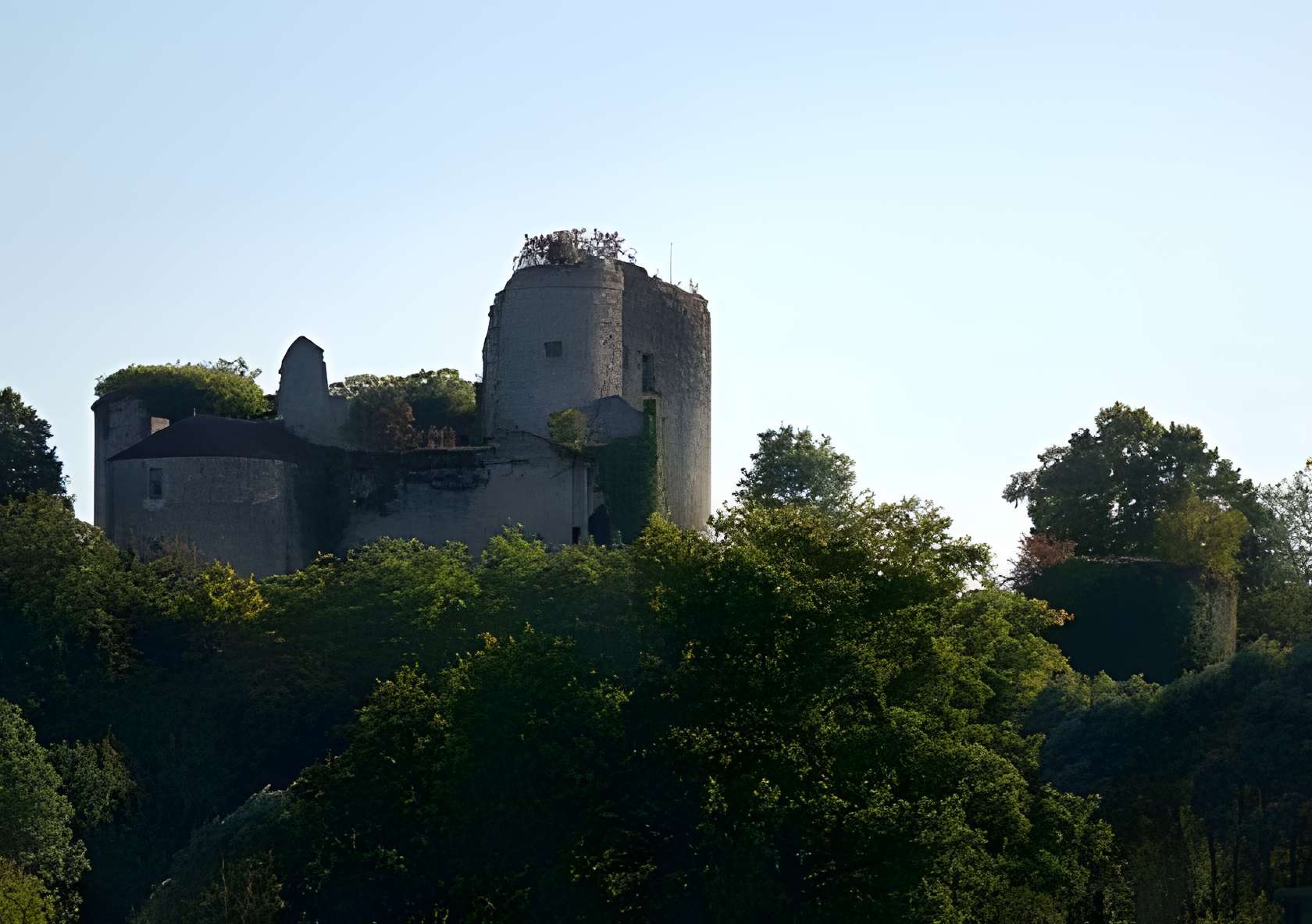 Château de Montaigu-le-Blin 