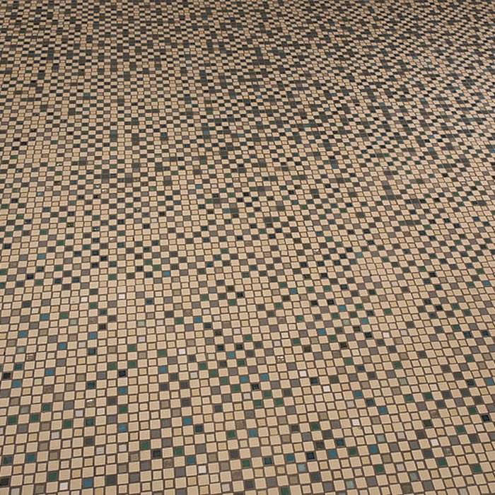 Photo de Ancienne piscine Lutetia