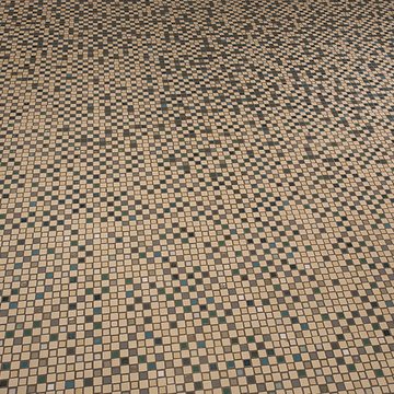 Ancienne piscine Lutetia