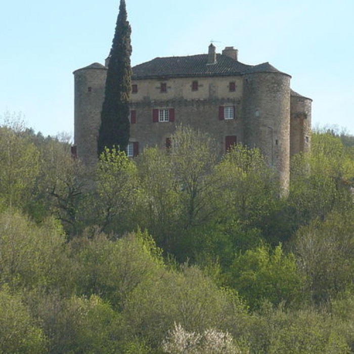 Photo de Château de Montalègre