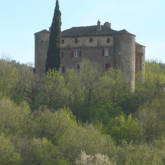 Photo de Château de Montalègre