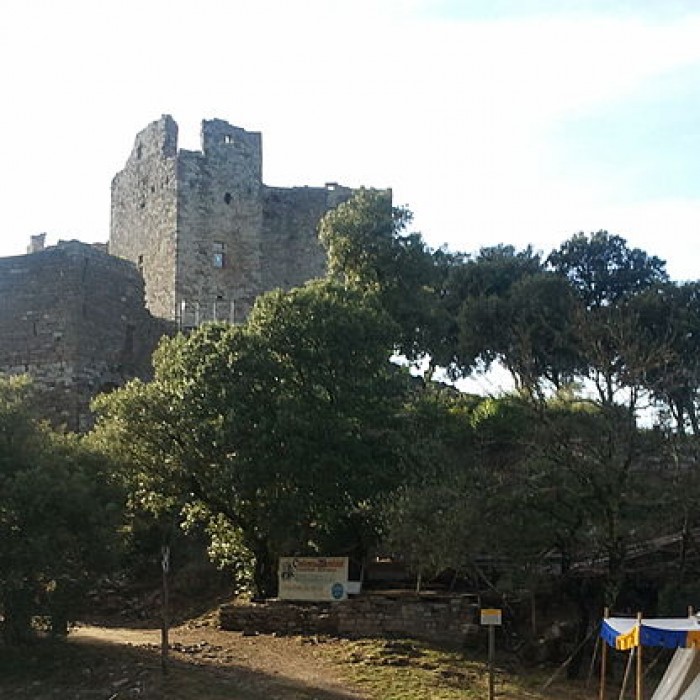 Photo de Château de Montalet