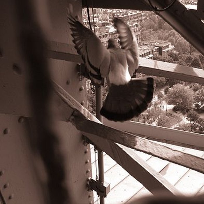 Photo de Tour Eiffel