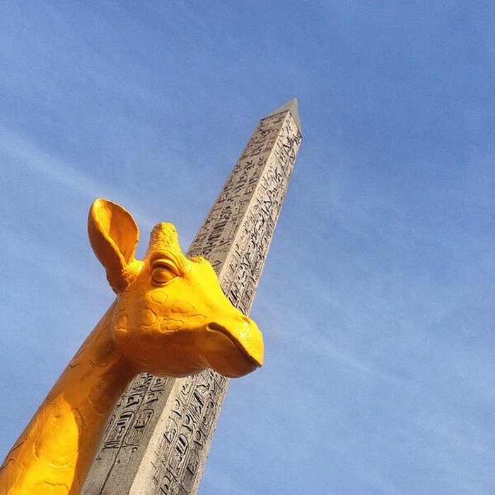 Photo de Obélisque de Louxor à Paris