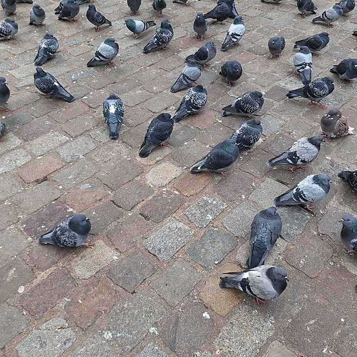 Photo de Porte Saint-Denis à Paris