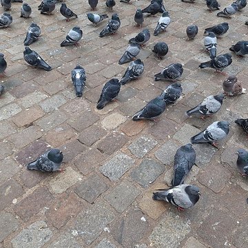 Porte Saint-Denis à Paris