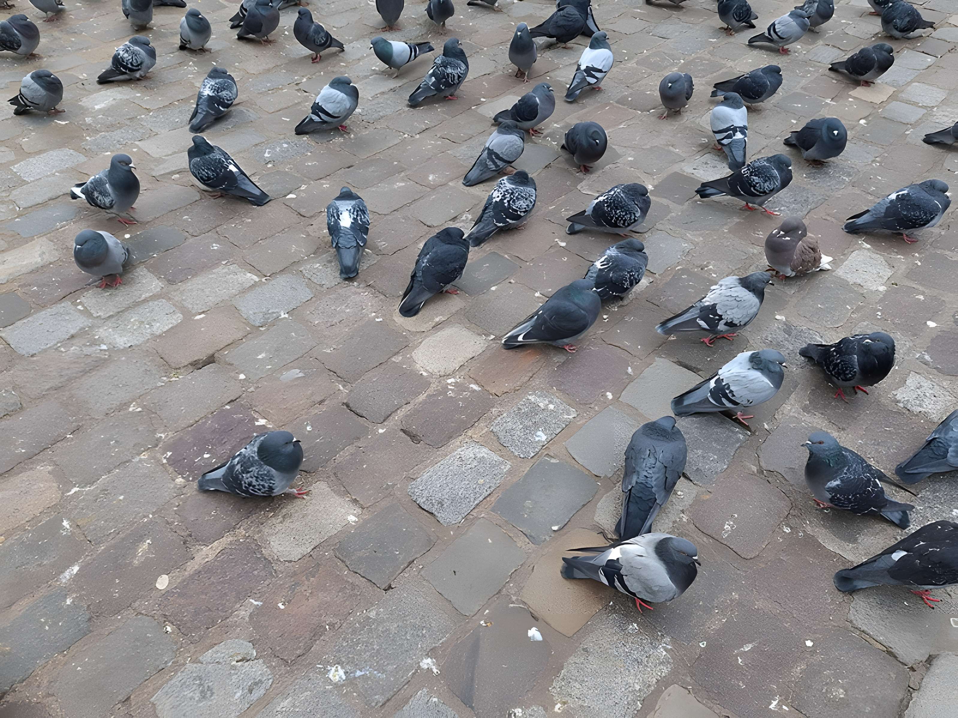 Porte Saint-Denis à Paris
