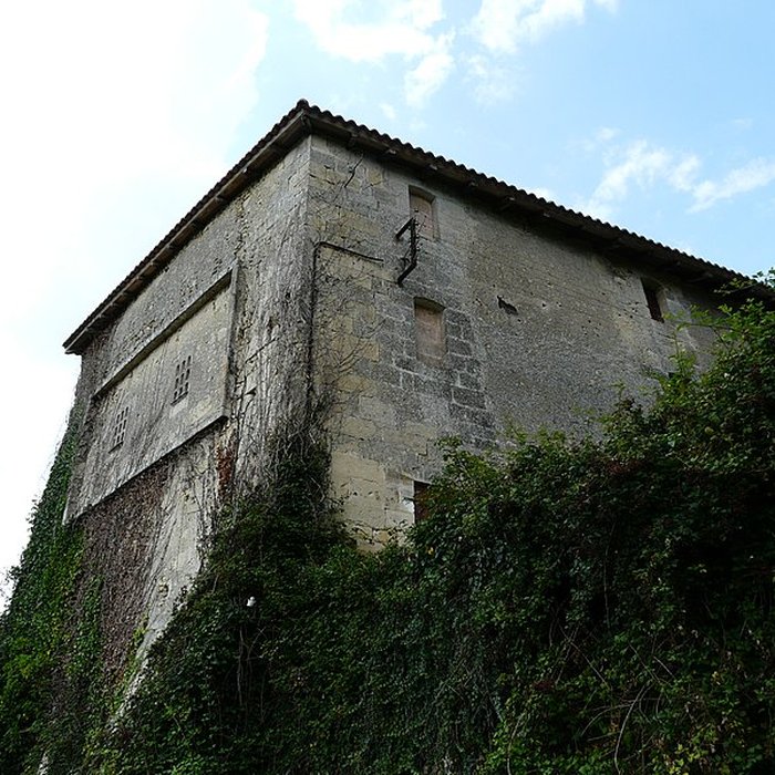Photo de Château de Montardy