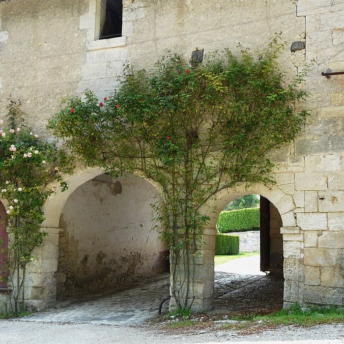 Photo de Château de Montardy