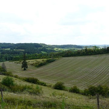 Château de Montardy