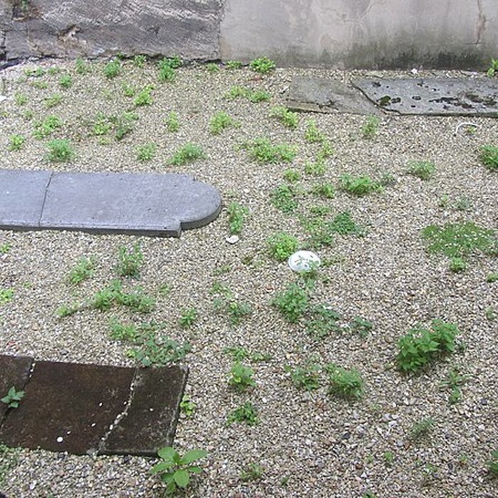 Photo de Cimetière des Juifs Portugais - Paris 19ème