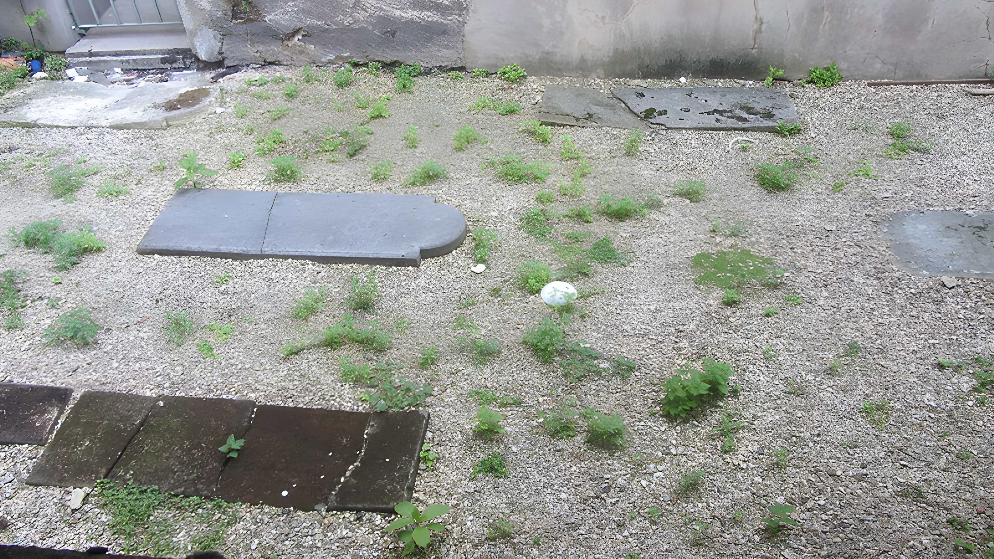 Cimetière des Juifs Portugais - Paris 19ème