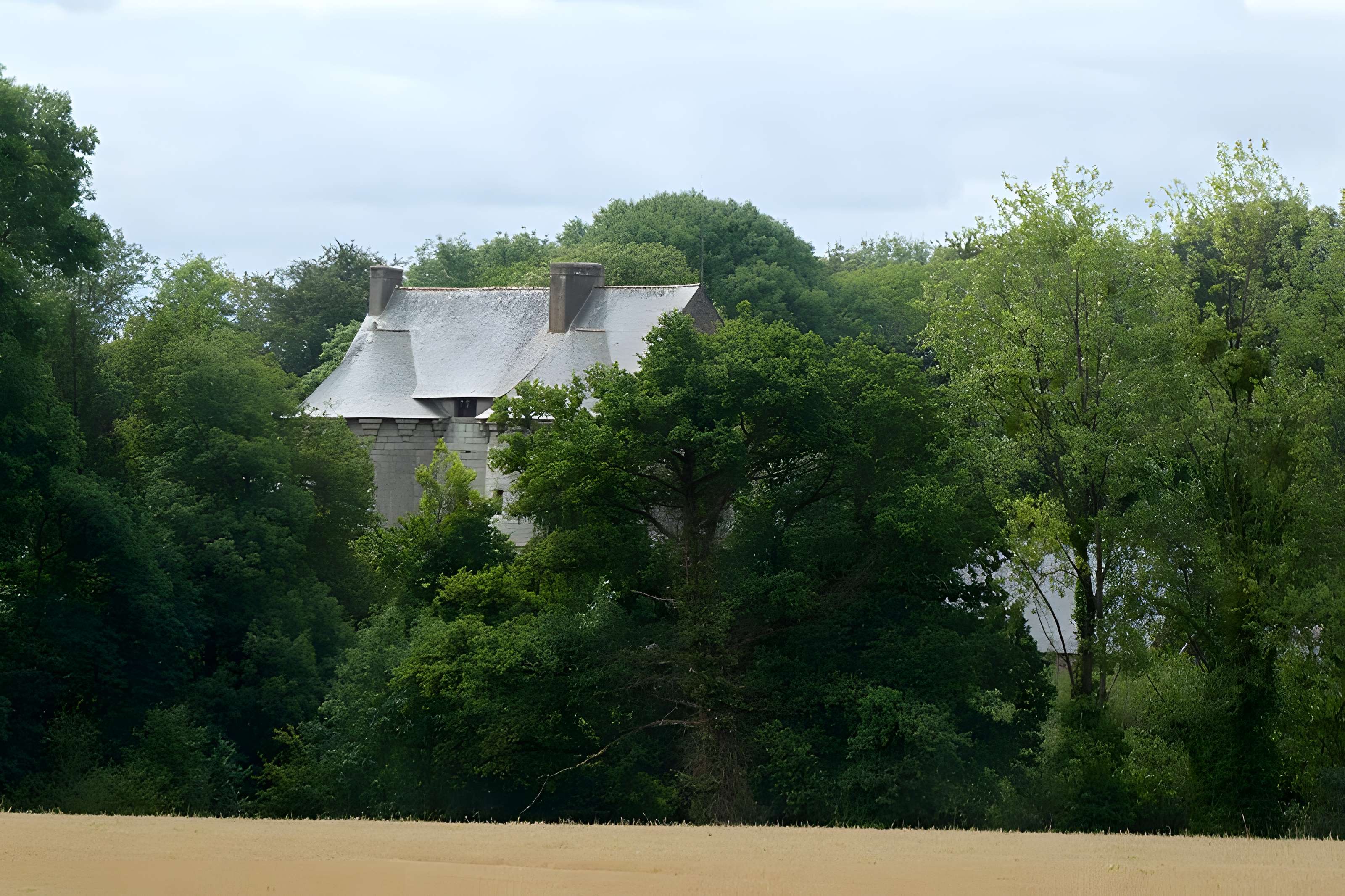 Château de Montauban-de-Bretagne
