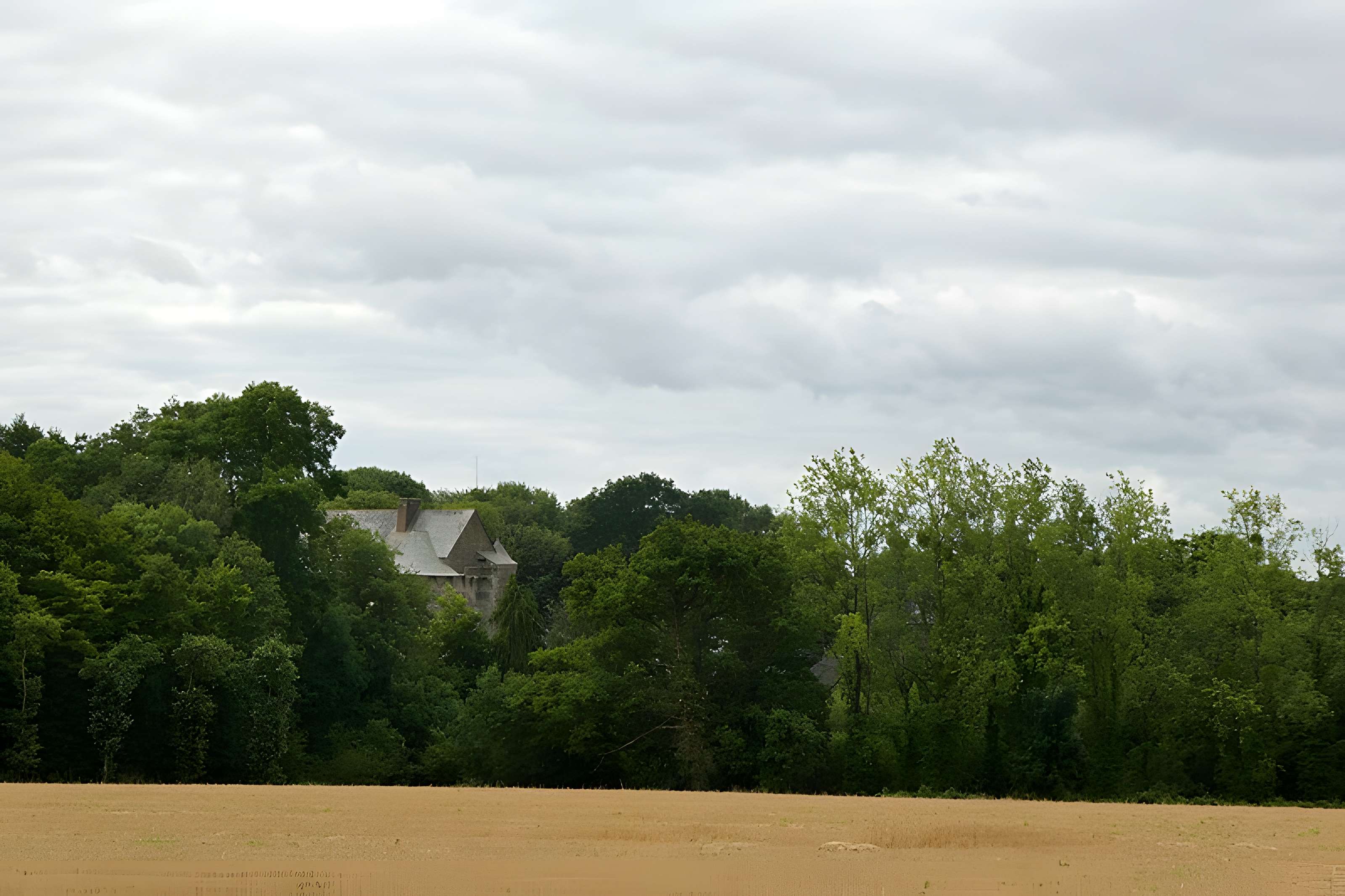Château de Montauban-de-Bretagne