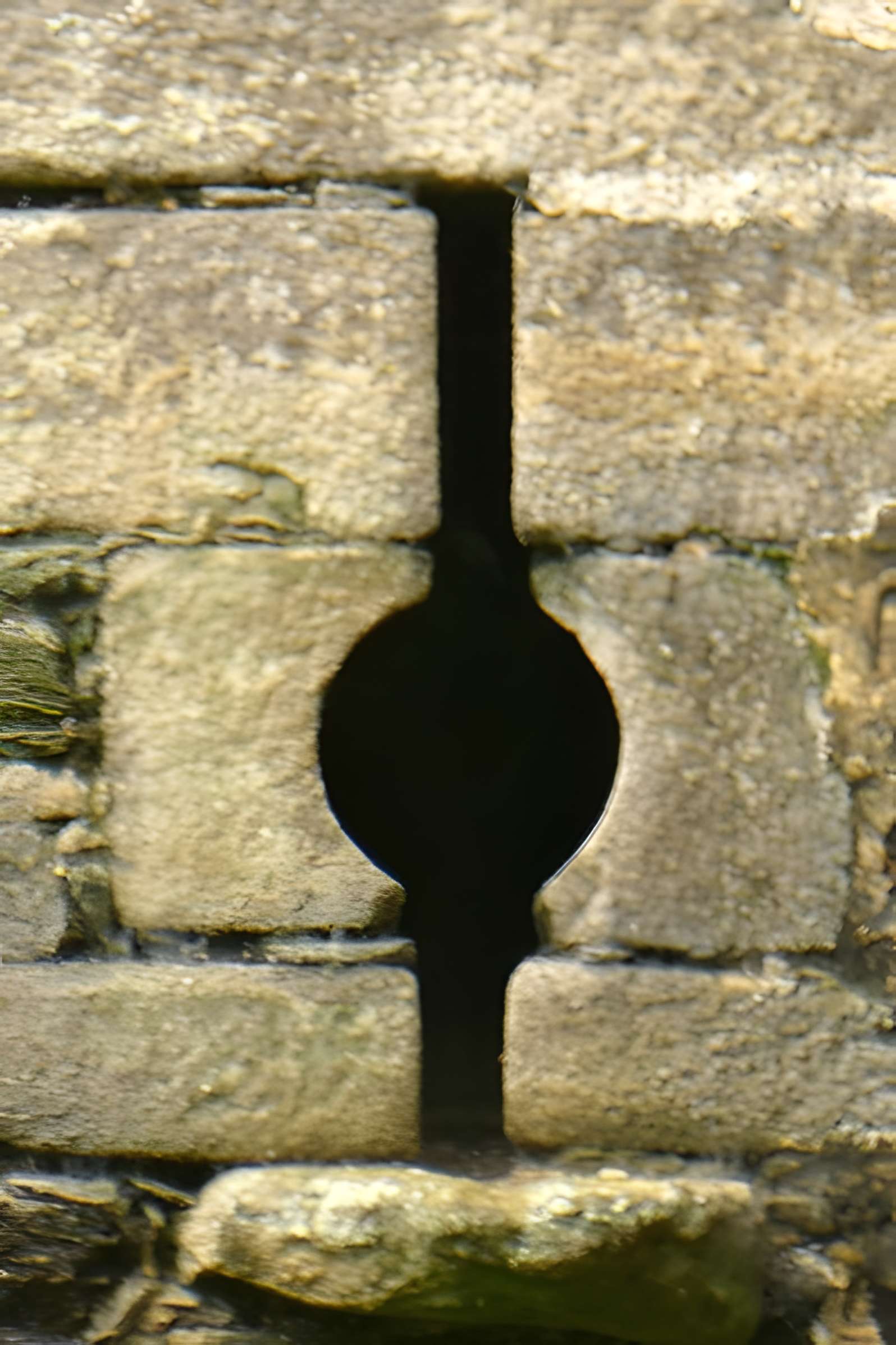 Château de Montauban-de-Bretagne