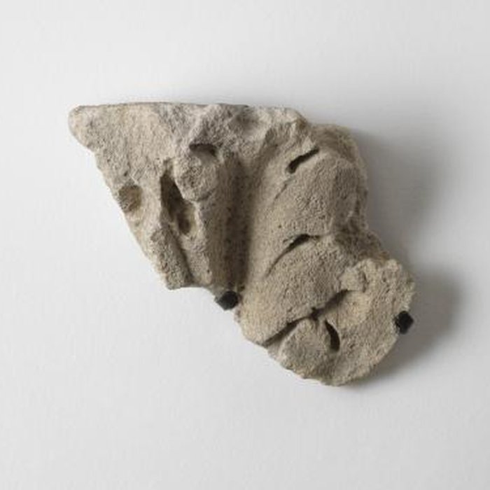 Photo de Arènes de Lutèce