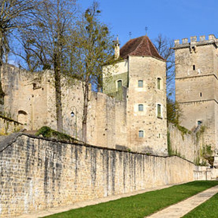 Photo de Château de Montbard