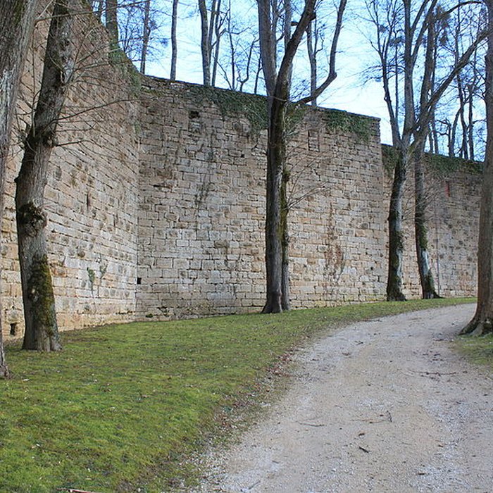 Photo de Château de Montbard